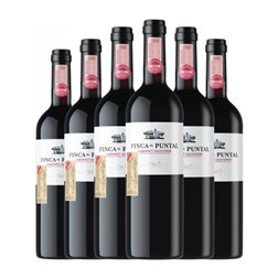 Capel Finca El Puntal Cabernet Sauvignon 75 cl Vino Tinto (Caja de 6 unidades)