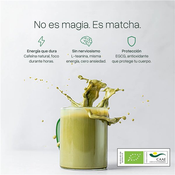 Cápsulas de Matcha con Creatina para Nespresso-detalle