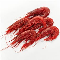 Carabinero cong. calidad extra