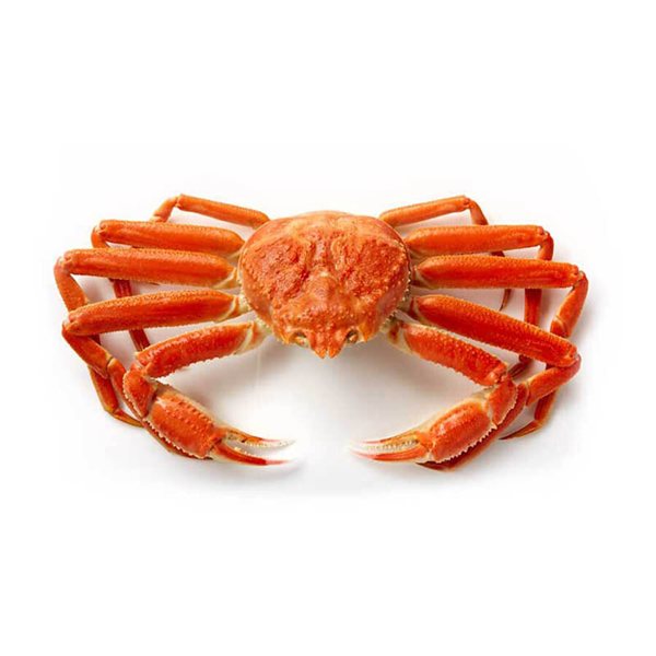 Snow Crab Meat, La Mar de Tazones-trasera