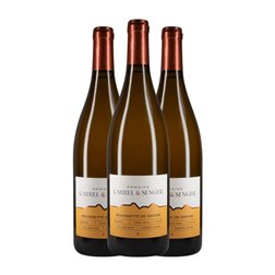 Carrel & Senger Rousette de Savoie 75 cl Vino Blanco (Caja de 3 unidades)