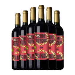 Casa Mariol Cabernet Sauvignon Terra Alta Reserva 75 cl Vino Tinto (Caja de 6 unidades)