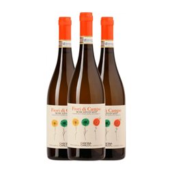 Cascina Carlot Fiori di Campo Moscato Moscato d'Asti 75 cl Espumoso Blanco (Caja de 3 unidades)
