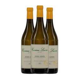 Cascina Luisin Anterisio Arneis Roero 75 cl Vino Blanco (Caja de 3 unidades)