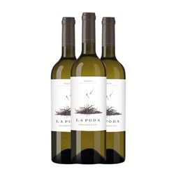 Caserío de Dueñas La Poda Sauvignon Rueda Botella Magnum 1,5 L Vino Blanco (Caja de 3 unidades)