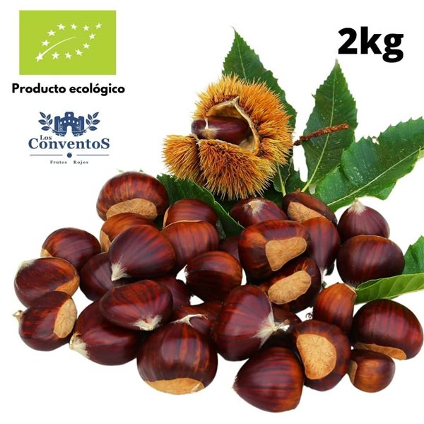 Castañas Ecológicas Calibre Super Extra / Gold - 2kg-lateral