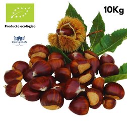 Castañas Ecológicas Calibre Super Extra / Gold - 10Kg (Con envío gratuito).