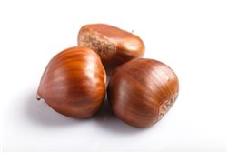 Chestnuts from Sierra de San Vicente