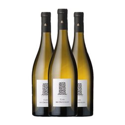 Castel Châteaux & Grands Crus Clos des Orfeuilles Melon de Bourgogne Trocken — Seco Muscadet-Sèvre et Maine Sur Lies — Sobre Lías 75 cl Vino Blanco (Caja de 3 unidades)