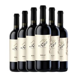 Castelnuovo del Garda 1958 Wine Experience Merlot Veneto 75 cl Vino Tinto (Caja de 6 unidades)