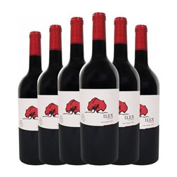 Castilblanque Ilex Seco Vino de la Tierra de Castilla Coupage 75 cl Vino Tinto (Caja de 6 unidades)