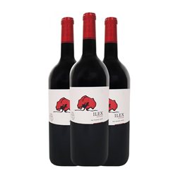 Castilblanque Ilex Seco Vino de la Tierra de Castilla Coupage Botella Magnum 1,5 L Vino Tinto (Caja de 3 unidades)