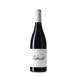 Castro Ventosa Valtuille Villa Wine 2023