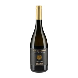 CastroBrey Sin Palabras Casa de Morao Albariño Rías Baixas 75 cl Vino Blanco
