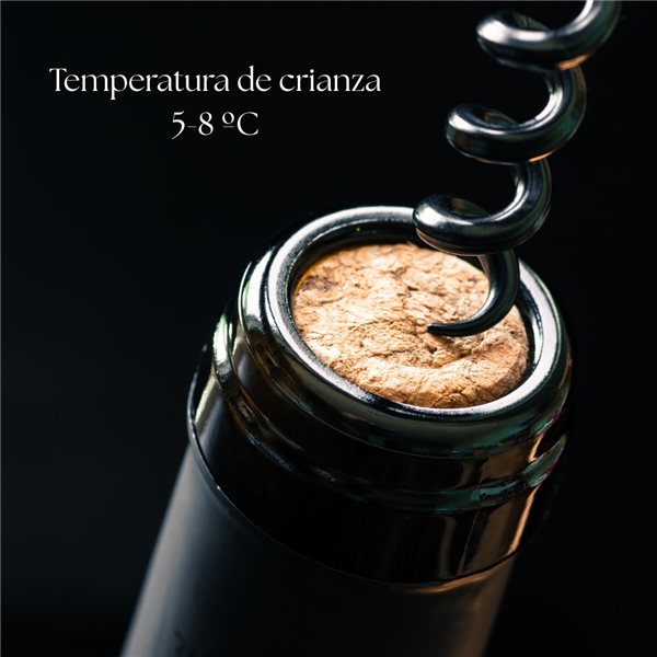 Marqués de Badajoz Extra Brut Cava (3 bottles of 750 ml) - Spanish Sparkling Wine with a Fresh and Fruity Flavor.-lateral