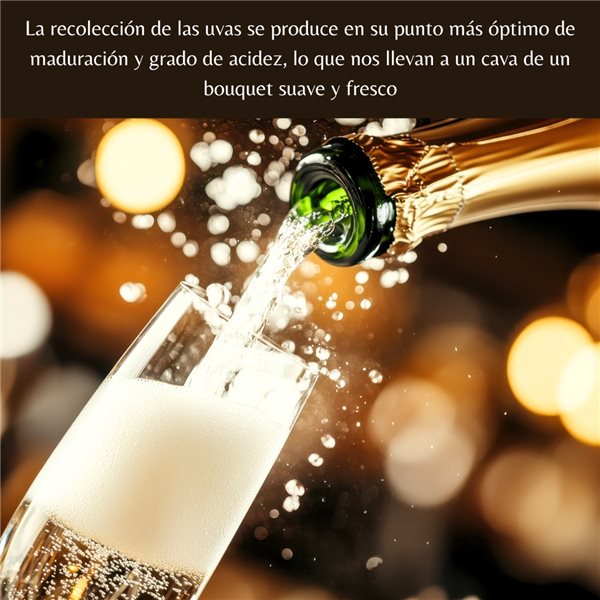 Graben Marqués de Badajoz Extra Brut (6 Flaschen à 750 ml) - Spanischer Schaumwein mit frischem und fruchtigem Geschmack.-trasera