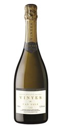 The translation of "Cava Vinyes de Can Sala" to English is "Cava Vinyes de Can Sala." Proper names, such as the name of a brand or product, are typically not translated. However, if you need a description, "Cava" refers to a type of sparkling wine from Spain, and "Vinyes de Can Sala" could be interpreted as "Vines of Can Sala." Let me know if you need further assistance!