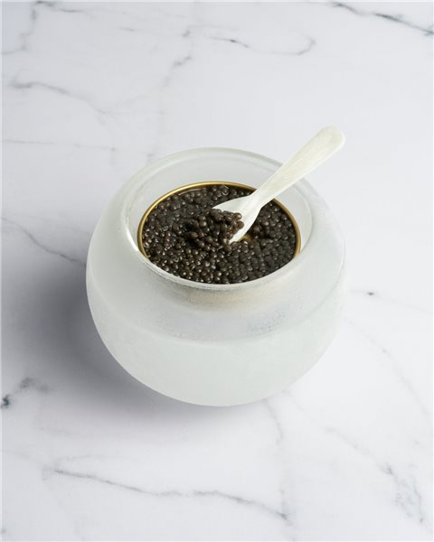 Expérience de caviar-trasera