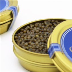 Imperial Caviar, Tibetan Caviar