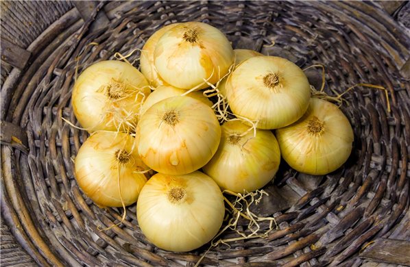 Cebolla dulce unidad-detalle