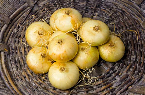 Cebolla dulce unidad-detalle