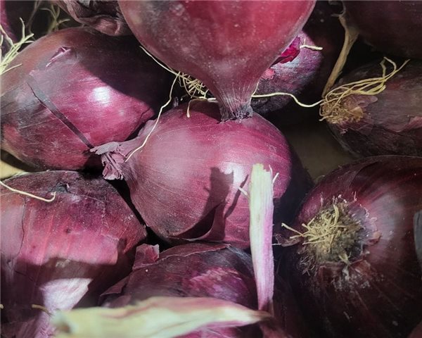 Cebolla morada-izquierda