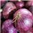 Cebolla morada