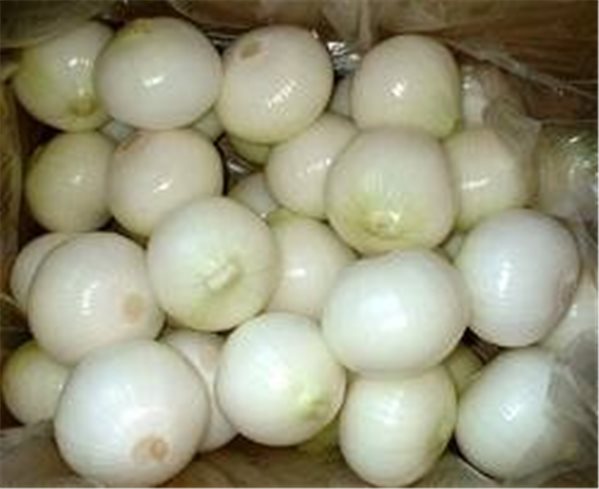 Oignon pelé sucré-lateral