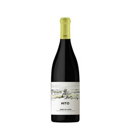 Cepa 21 Hito 2025