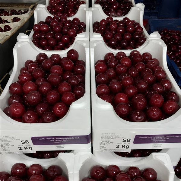 Cerezas del Jerte Sin Rabo Calibre 28-30 – Caja de 2 kg-detalle