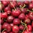 Cerises de la vallée du Jerte variété Bourlat-Nimba ou similaires 2 kg-trasera
