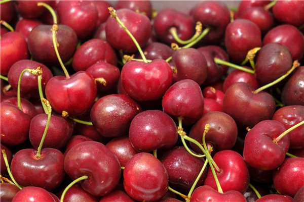 Cerises de la vallée du Jerte variété Bourlat-Nimba ou similaires 2 kg-trasera