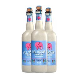 Cerveza Huyghe Delirium Tremens 75 cl (Caja de 3 unidades)