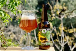 Bier La Oropéndola 33 cl. Cervezas La Yedra