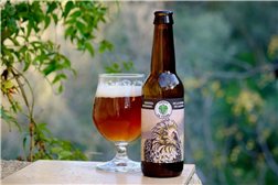 Cerveza La Quebranta 33 cl. Cervezas La Yedra