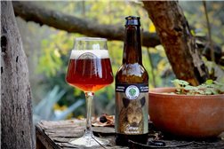 Serrana Bier 33 cl. Brauerei La Yedra