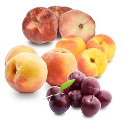 Panier de Prunes, Abricots, Pêches et Paraguayos 4Kg (1Kg Prunes + 1Kg Abricots + 1Kg Pêches + 1Kg Paraguayos)