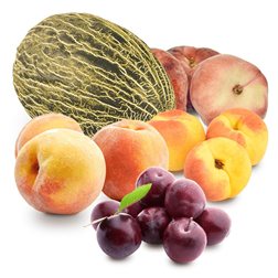 Panier Melon, Prunes, Pêches, Abricots et Paraguayos 1 + 4Kg (1 Melon + 1Kg Prunes + 1Kg Pêches + 1Kg Abricots + 1Kg Paraguayos)