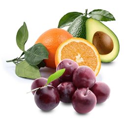 Juice Oranges, Strawberry Plums, and Avocados Basket 13 kg (10kg Juice Oranges, 2kg Strawberry Plums, and 1kg Avocados)