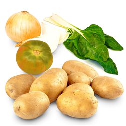 Cesta Patatas, Cebollas, Tomate y Acelgas 9K y 2 Unidades(5Kg Patatas, 2Kg Tomates, 2Kg Cebolla y 2 Unidades Acelgas)