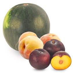 Cesta Sandía, Ciruelas y Melocotones 1 Sandía, 2Kg Ciruelas black diamond y 2Kg Melocotones