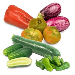 Panier Tomates, Concombres, Courgettes, Aubergines, Poivron Rouge et Poivron de Padrón 6kg (2kg de Tomates + 1kg de Concombres + 1kg de Courgettes + 1kg d'Aubergines + 1 Poivron Rouge + 1/2kg de Poivron de Padrón)