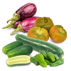Korb mit Tomaten, Gurken, Zucchini, Auberginen und Pimientos de Padrón, 2 kg Tomaten + 1 kg Gurken + 1 kg Zucchini + 1 kg Auberginen + 1/2 kg Pimientos de Padrón.