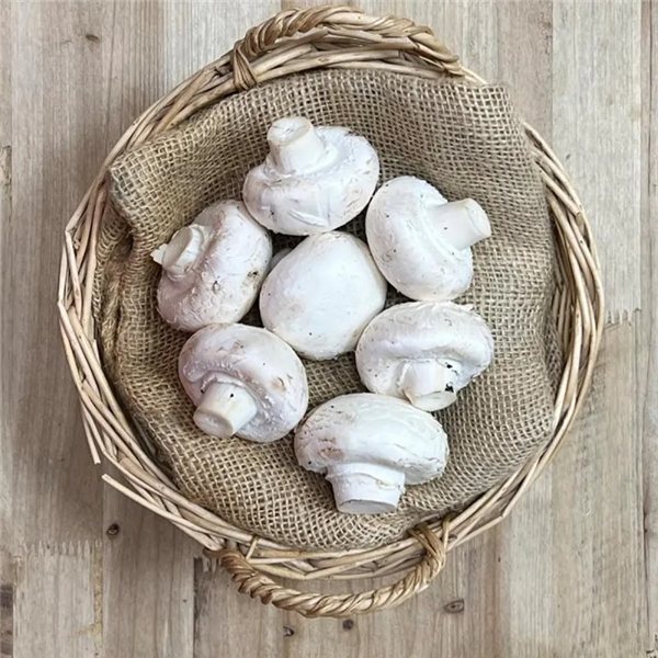 Champiñón Blanco 500 Gr (envíos solamente en comunidad de Madrid)-detalle