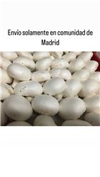 Champiñón Blanco 500 Gr (envíos solamente en comunidad de Madrid)