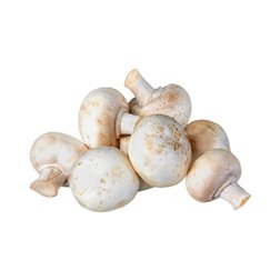 Champignon blanc extra - 300g