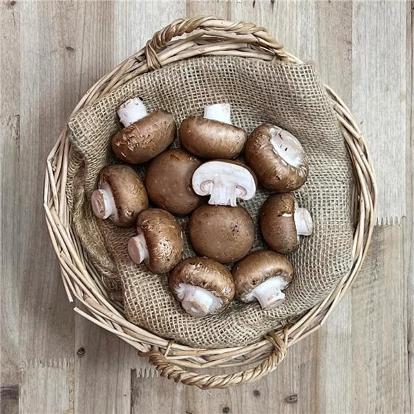 Portobello-Pilz 500g (Nur Lieferungen in der Comunidad de Madrid)-detalle