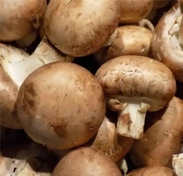 Champiñones-detalle