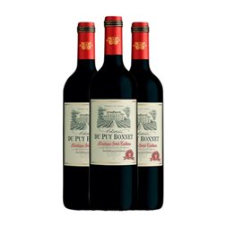 Château du Puy Bonnet Montagne Saint-Émilion 75 cl Vino Tinto (Caja de 3 unidades)