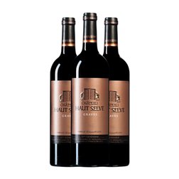 Château Haut Selve Graves 75 cl Vino Tinto (Caja de 3 unidades)